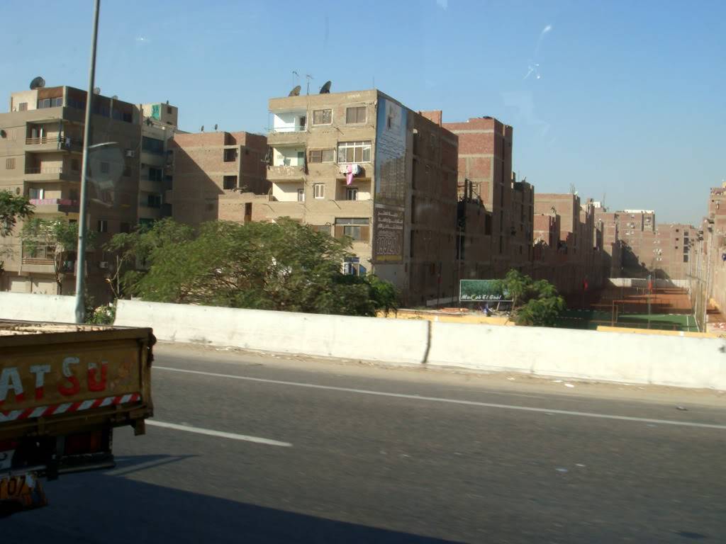 DSC01786.jpg