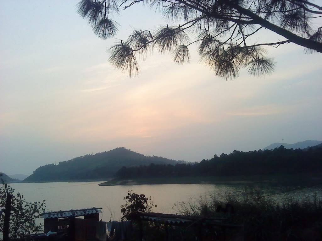 DSC00938.jpg