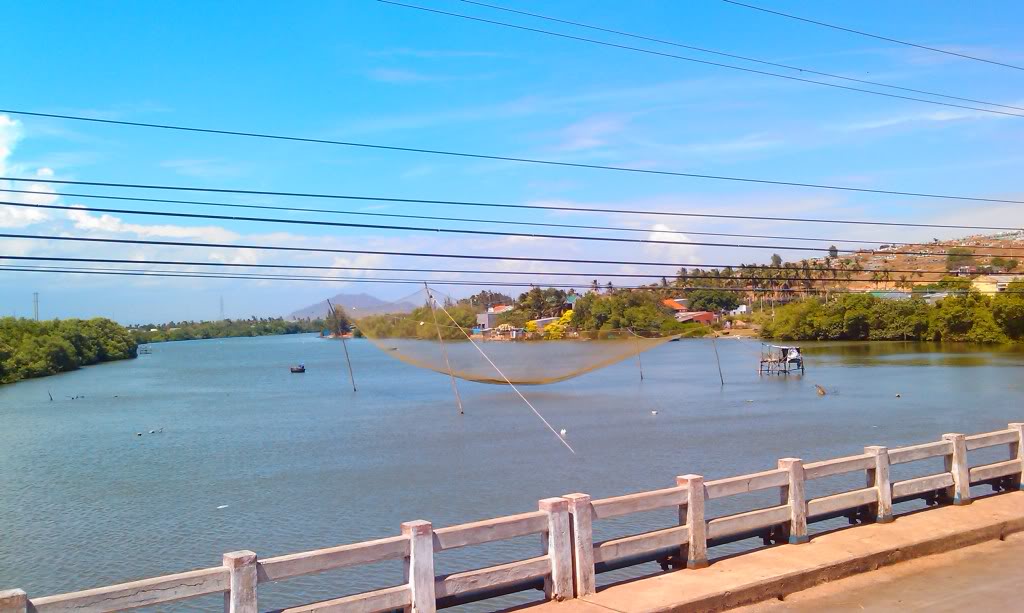 IMAG0663.jpg