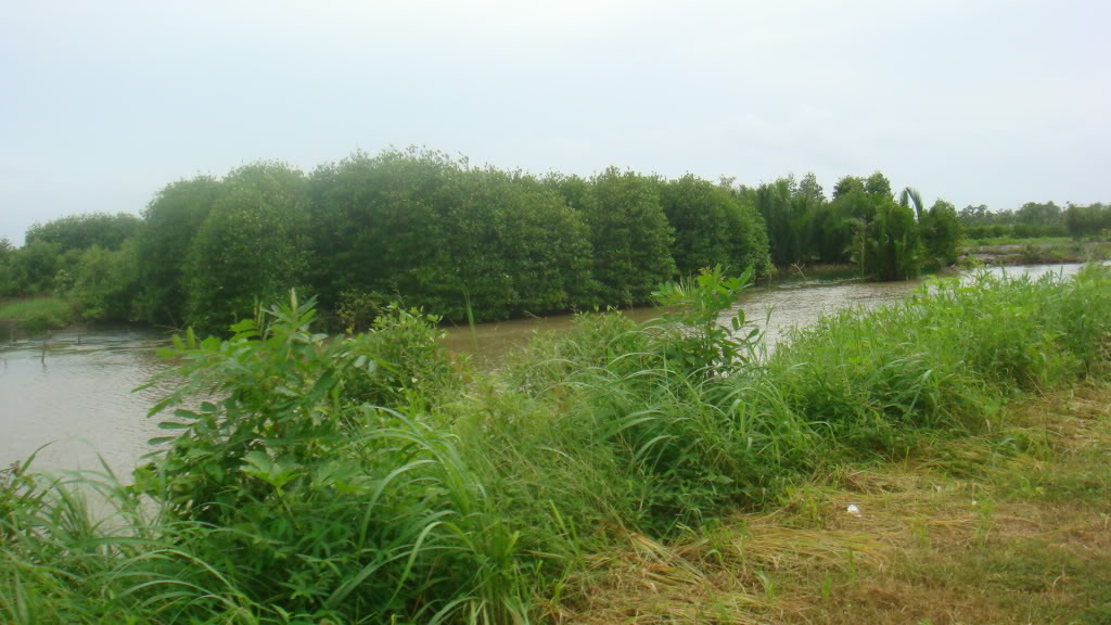 169.jpg