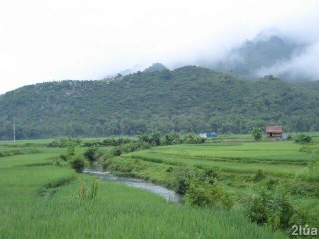 IMG_1064.jpg