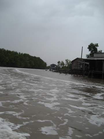IMG_2321.jpg