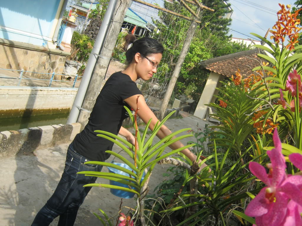 IMG_7764.jpg