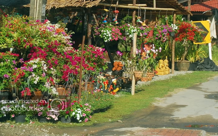 DSC_6882_resize.jpg