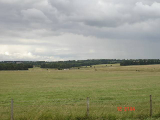 DSC04530.jpg