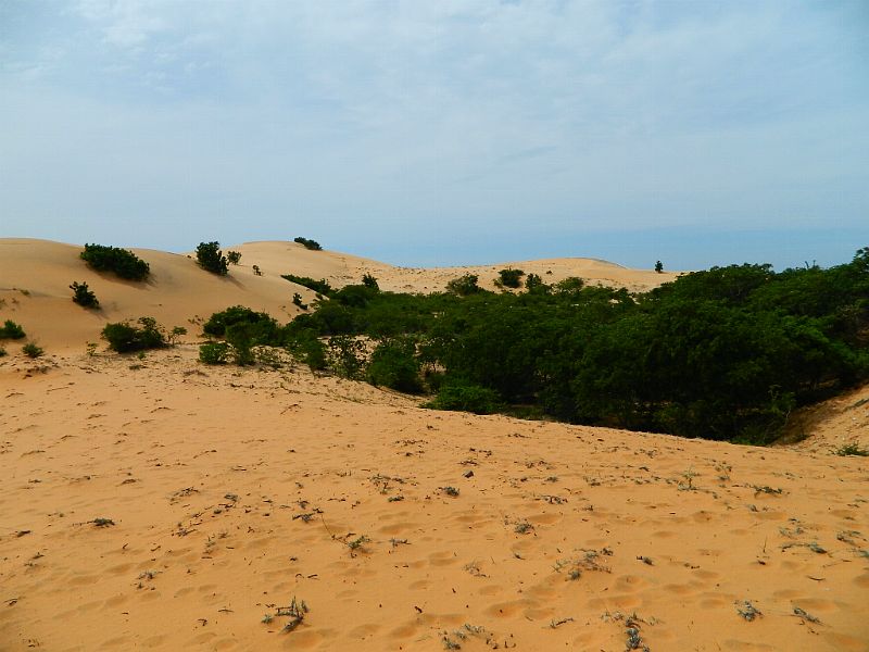 DSCN2111.jpg