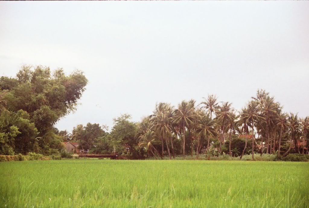 r001-030.jpg