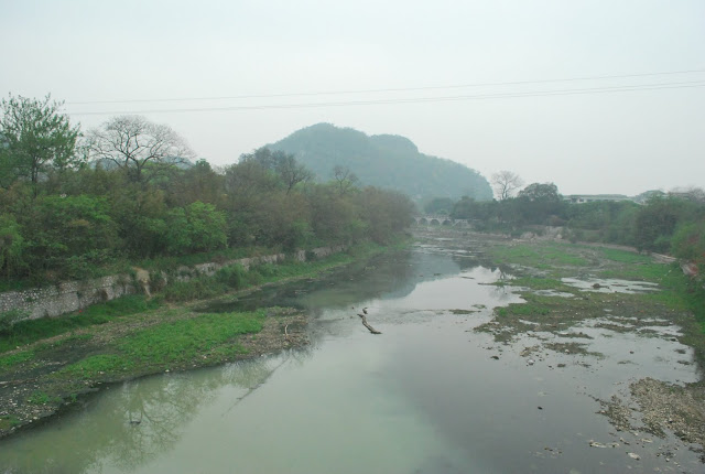 DSC_1883.JPG