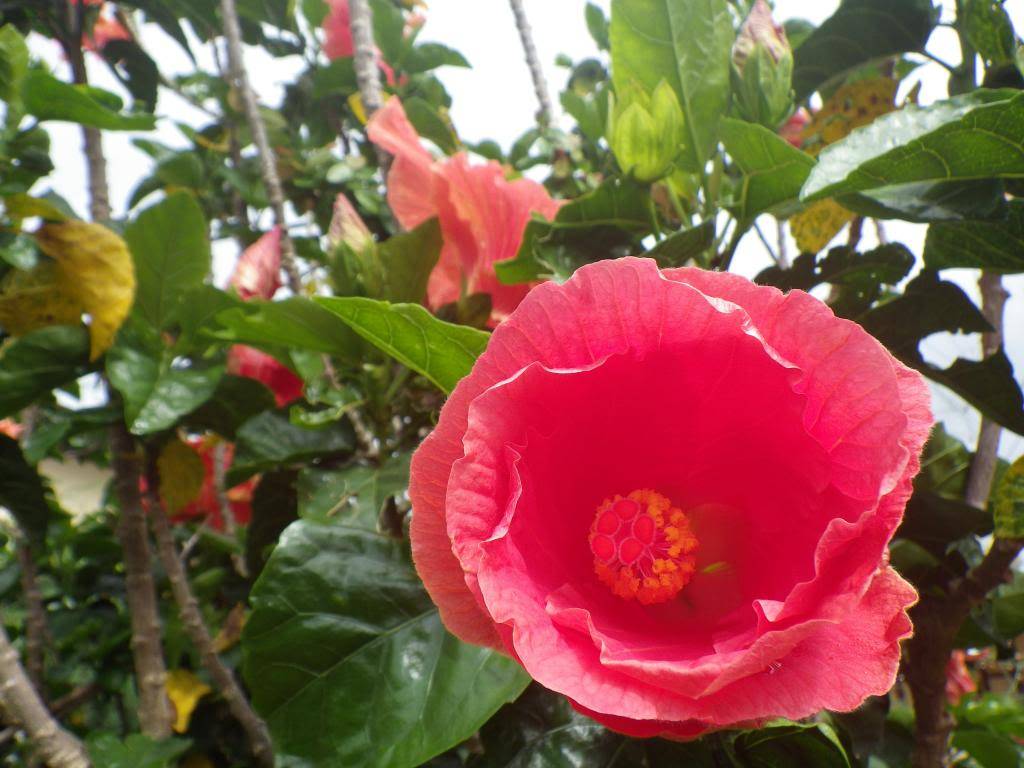 41_zpsb7954f5b.jpg