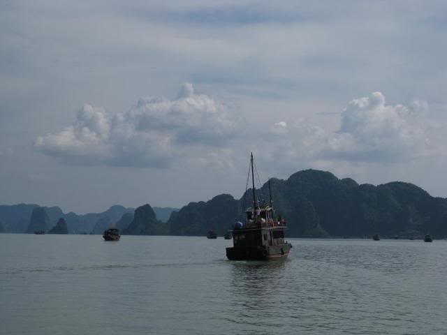 IMG_6946.jpg