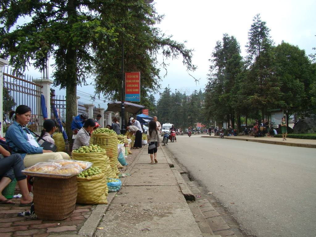 DSC09391-1.jpg