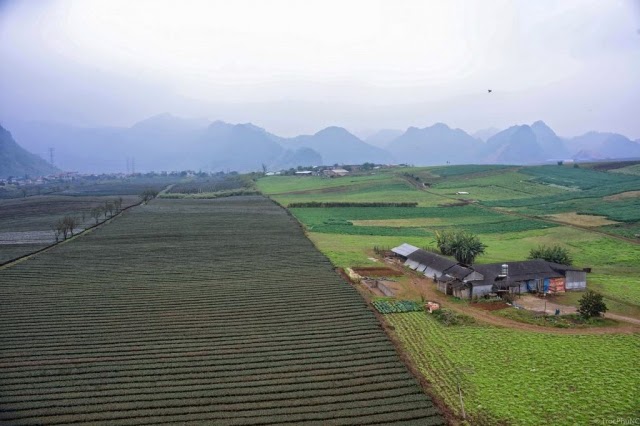 khtang.jpg