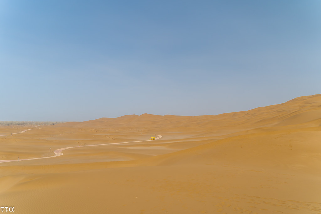 46667408635_fbb71da071_b.jpg