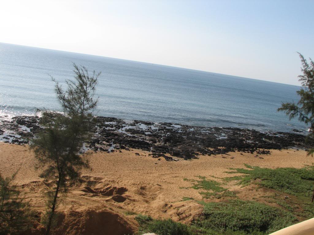 IMG_0104_zps7939d373.jpg