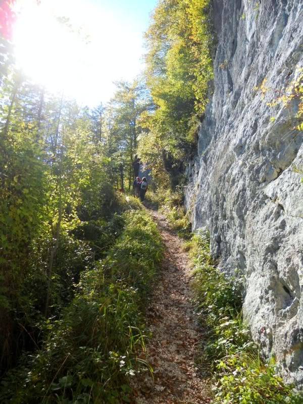 DSCN5276.jpg