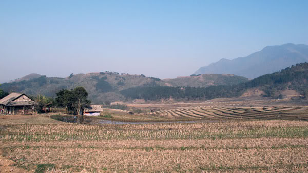 HongNgai2011088.jpg