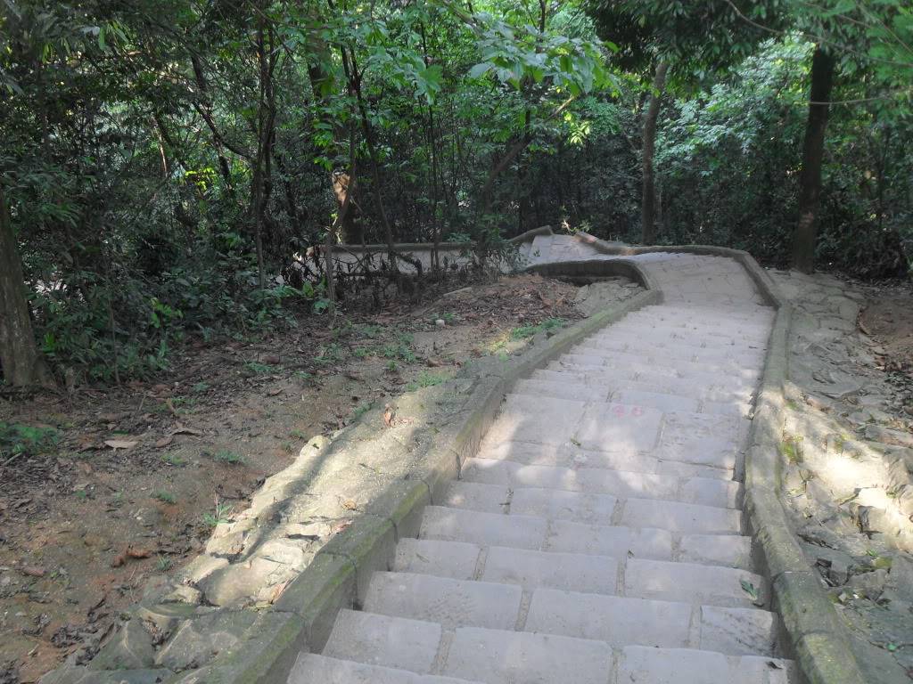 SDC14749.jpg