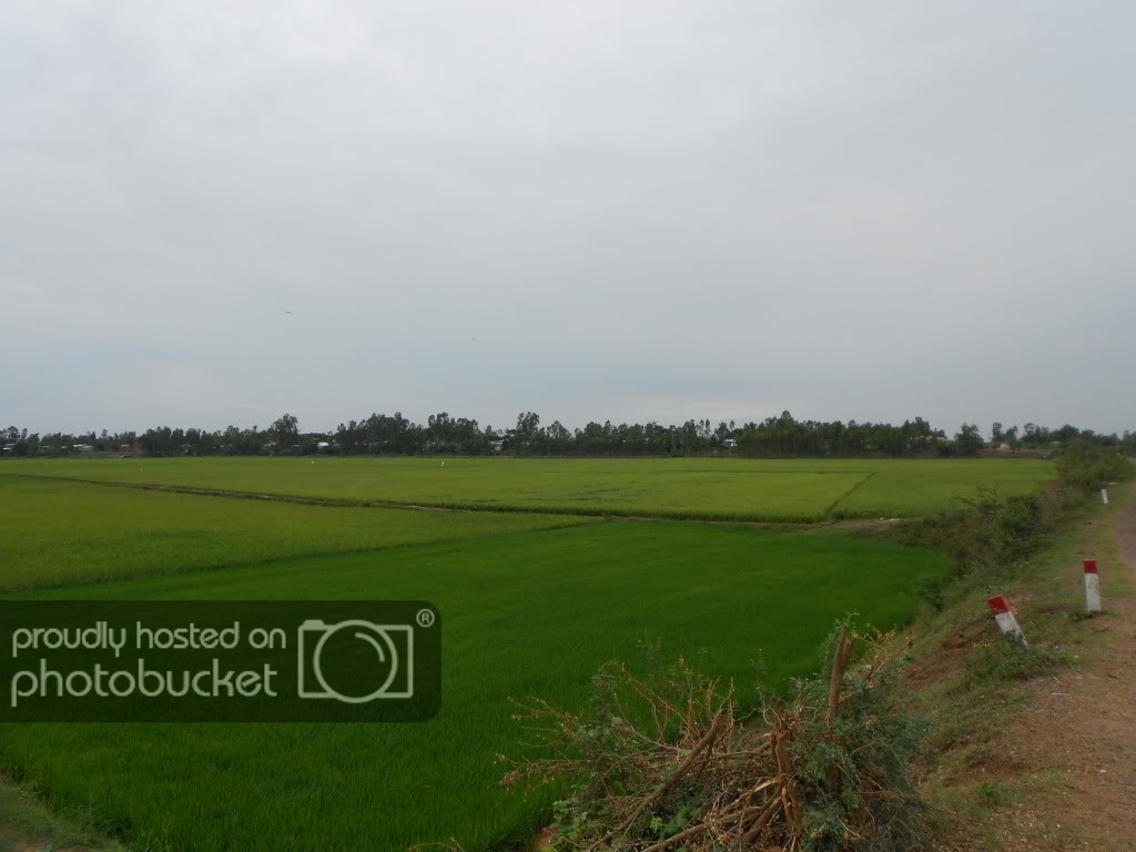 DSCN0702.jpg