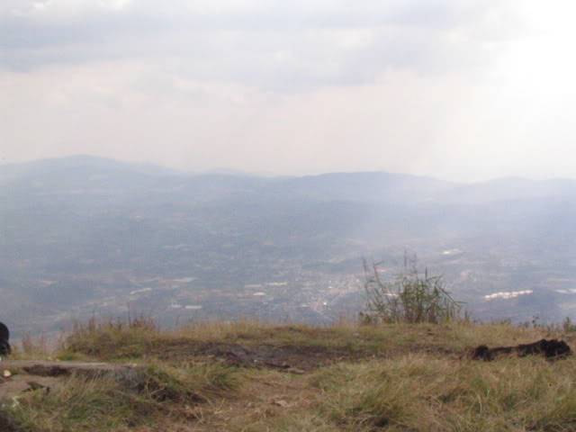 IMG_3712.jpg