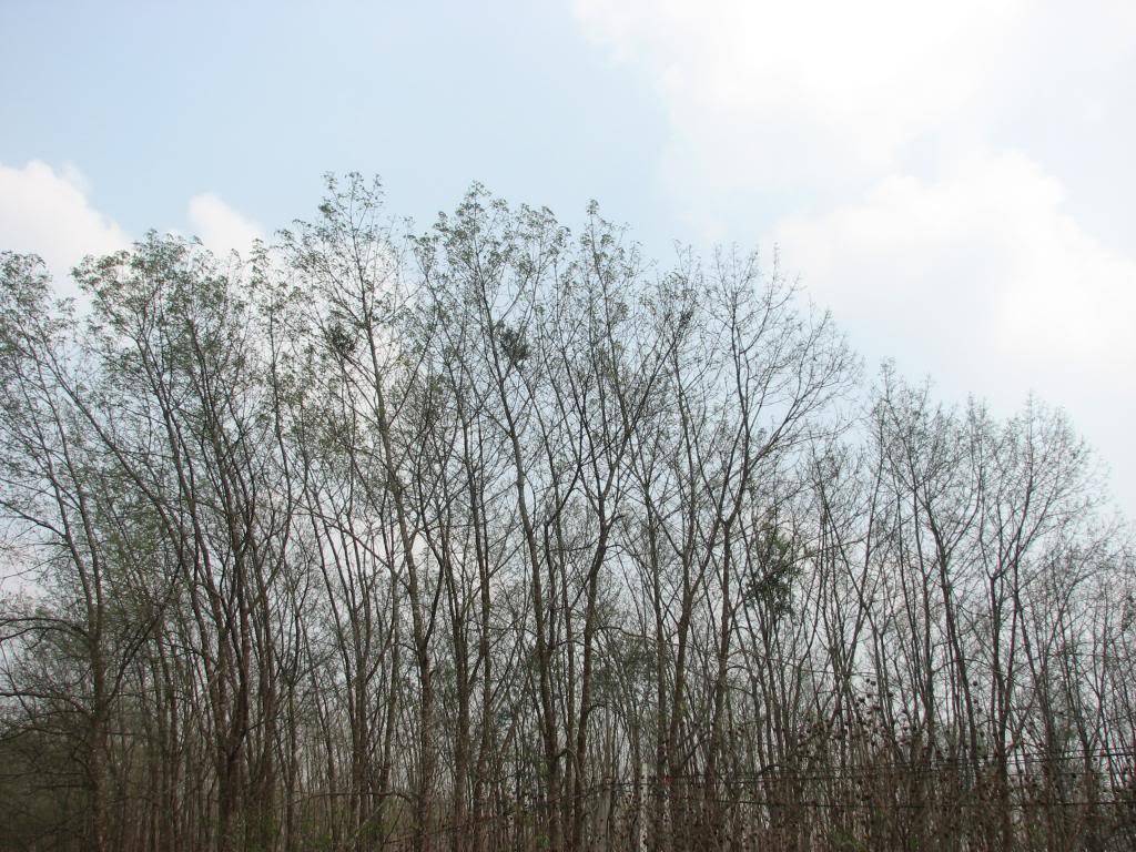 IMG_0992-Copy_zpscd02dabf.jpg
