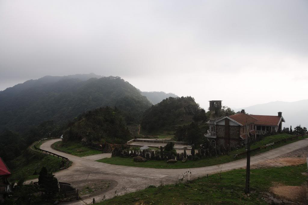 DSC_1549.jpg