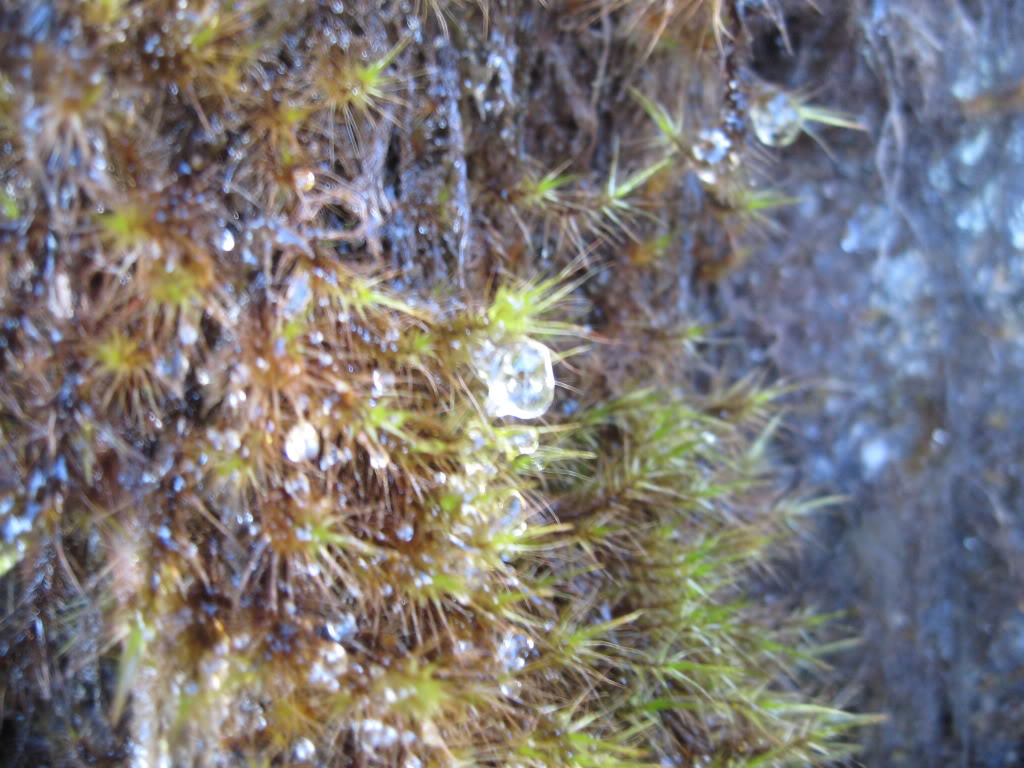 IMG_4315.jpg