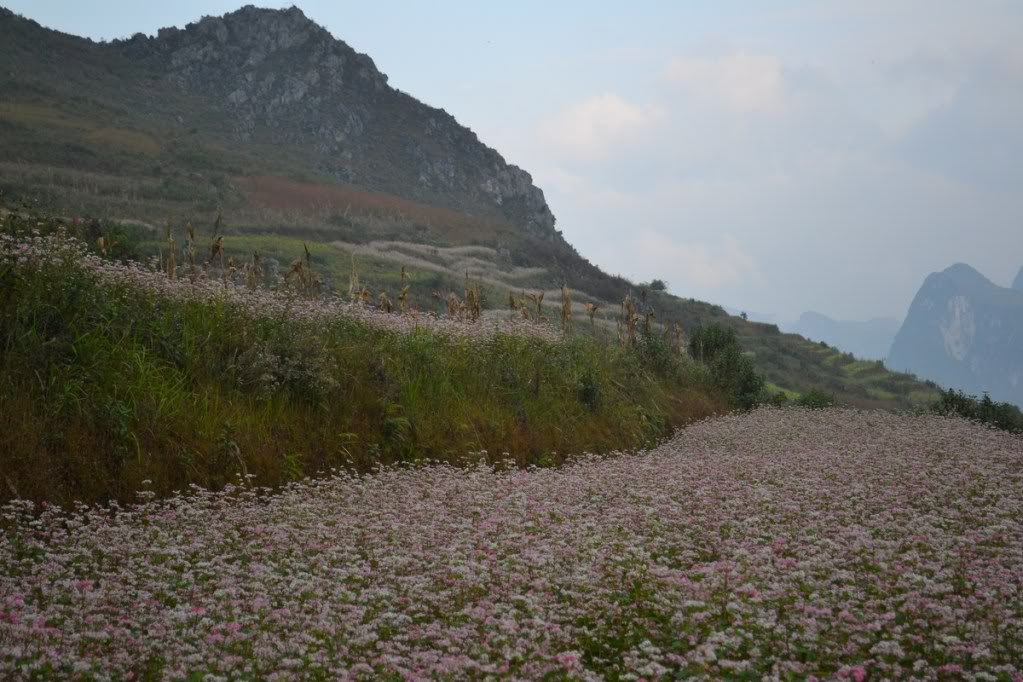 DSC_0129Copy.jpg