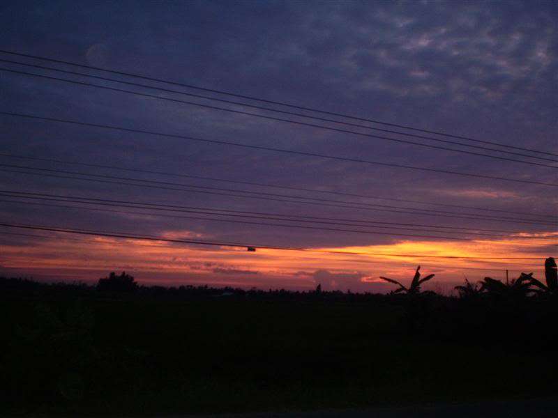 P1010609Medium.jpg