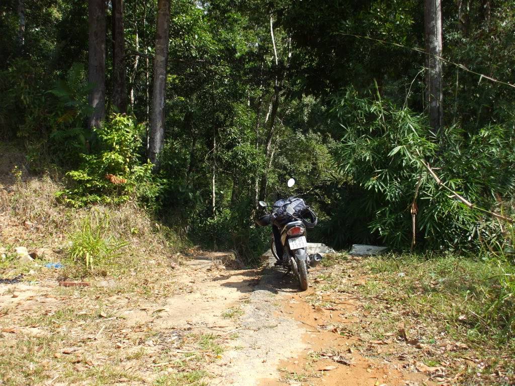 DSCF42661.jpg