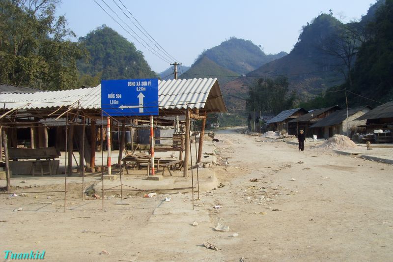 SDC16631.jpg