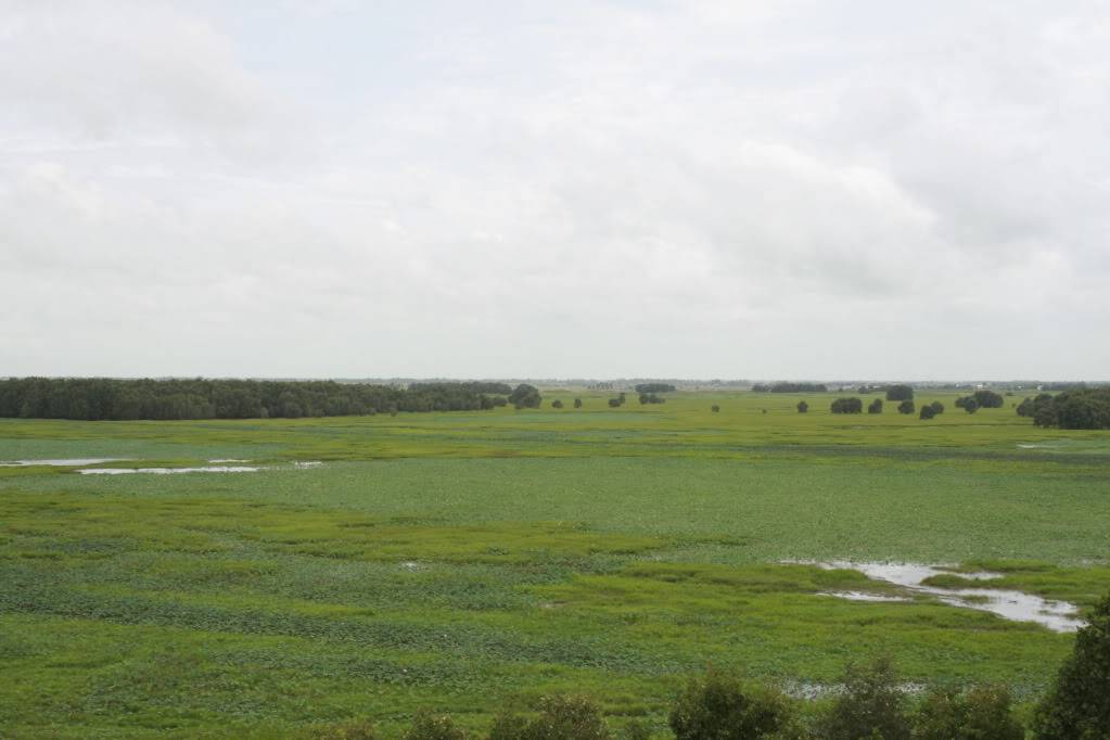 _MG_9548.jpg