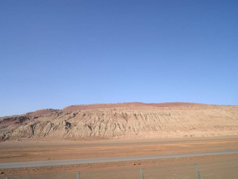 P9011845.jpg