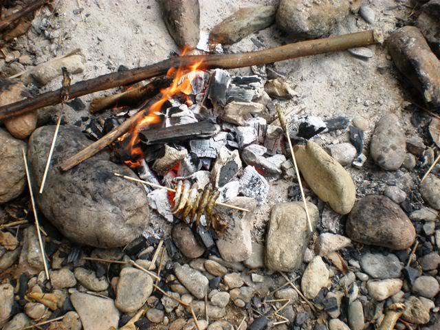 P2030484.jpg