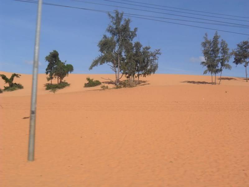 SAM_2996.jpg