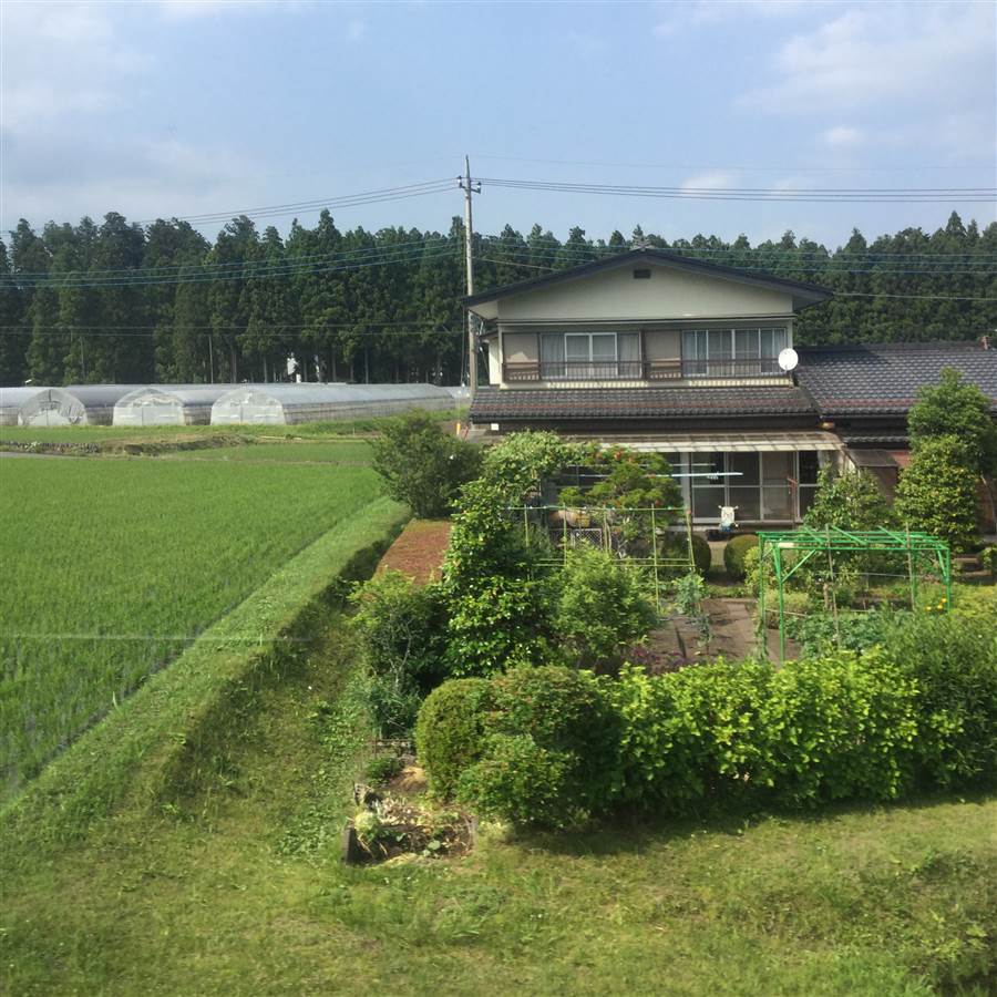 resized_IMG_9546_zpsadltk2as.jpg