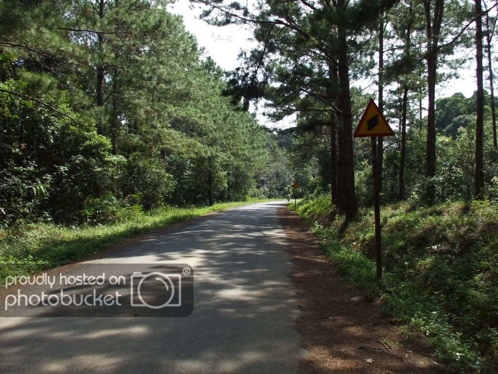 DSCF3247.jpg