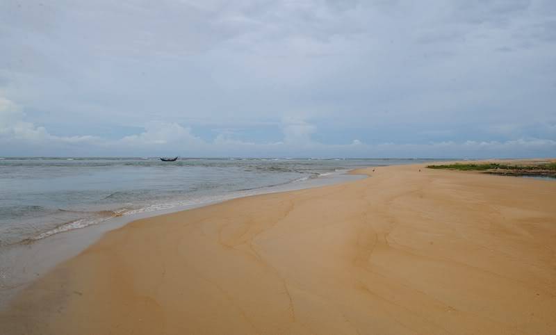 DSC_4351.jpg