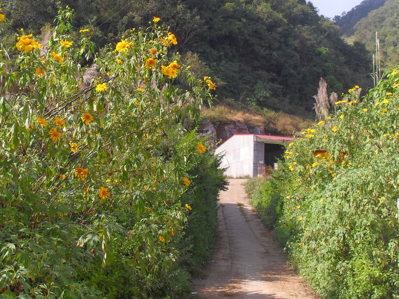 SDC10623.jpg