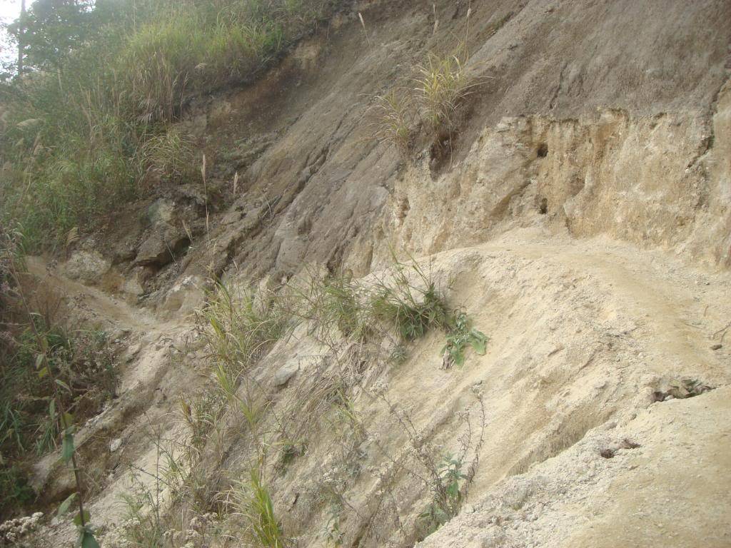 DSC06022.jpg