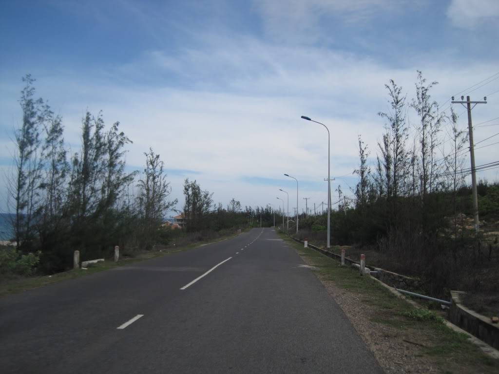 QL55QL28610.jpg