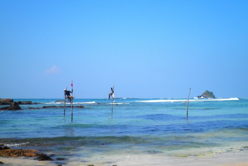 P1120607-1.jpg
