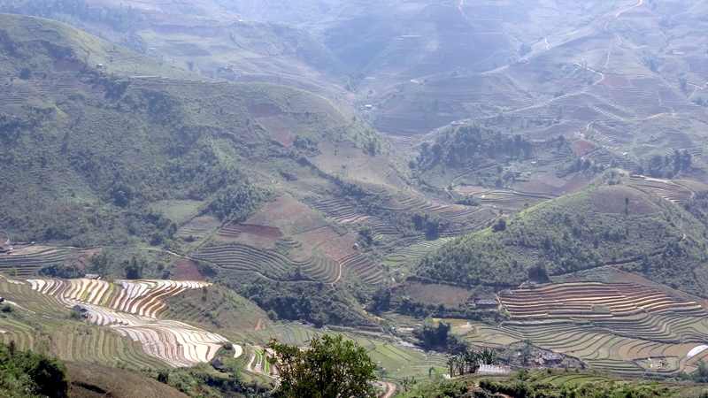 DSC09300_zps52b9fdce.jpg