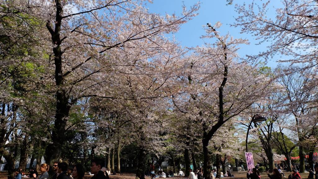 DSCF3838.jpg