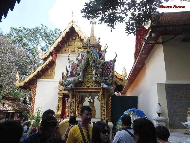 Ngay%204%2029_zpswm8l1vn4.jpg