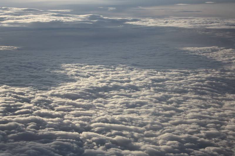 Picture296.jpg