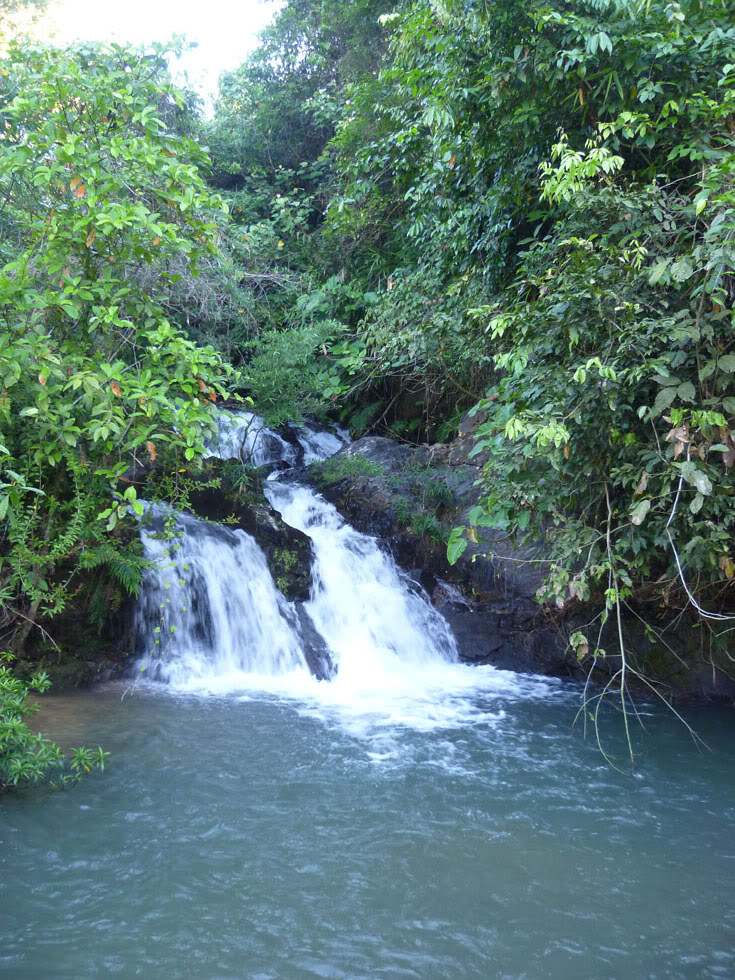 P1050694.jpg