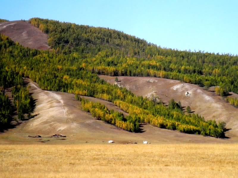 P9221487.jpg