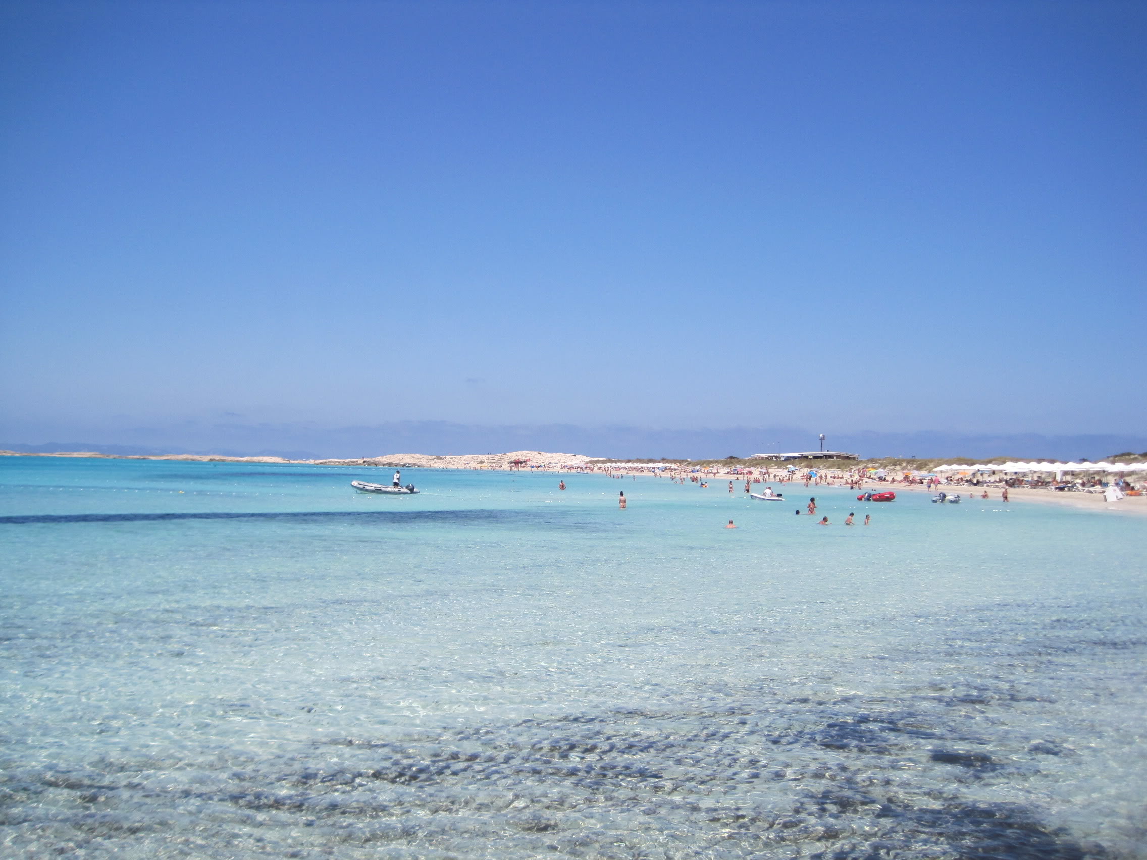 IMG_7504.jpg