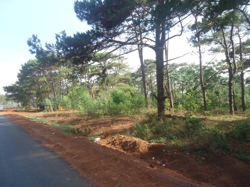 DSC01349_zpsraydthyf.jpg
