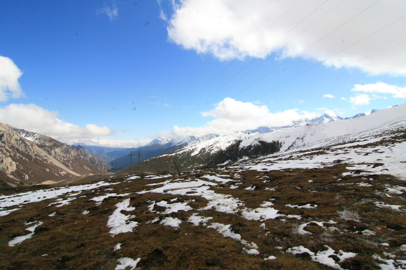 tuyetsonluong14.jpg